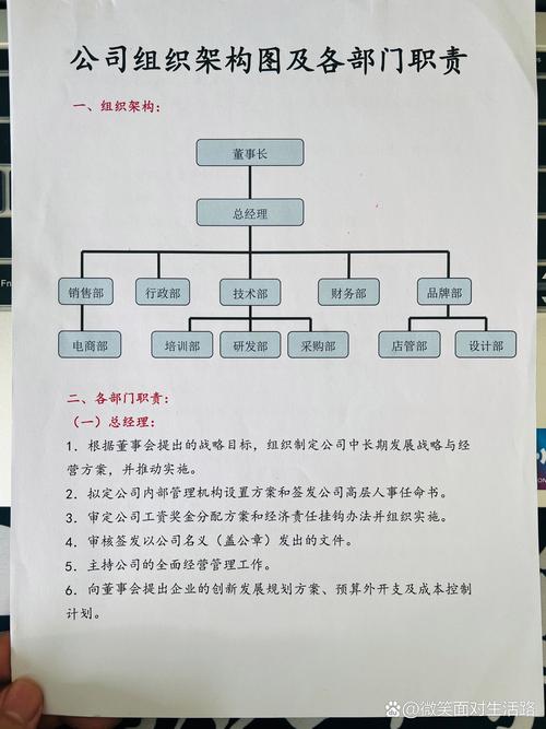 小红书公司的组织架构图具体如何划分?各部门职能与协作机制是怎样的?这种架构对业务发展有何影响?