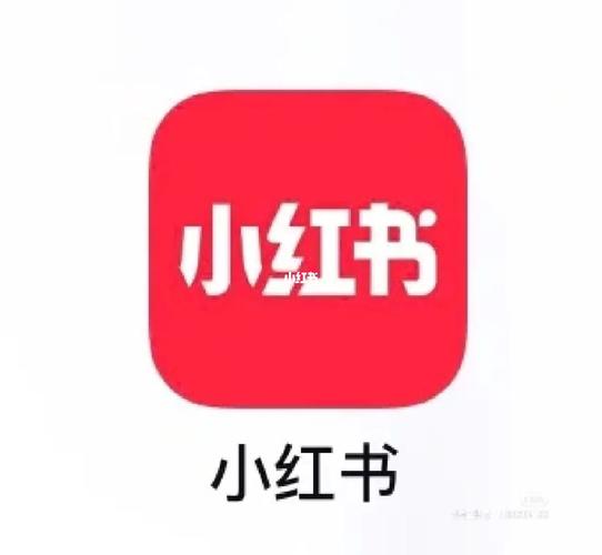 下载小红书最新版app