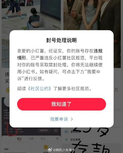 小红书登录失败怎么办？账号密码正确仍无法登录，是系统故障还是账号异常？