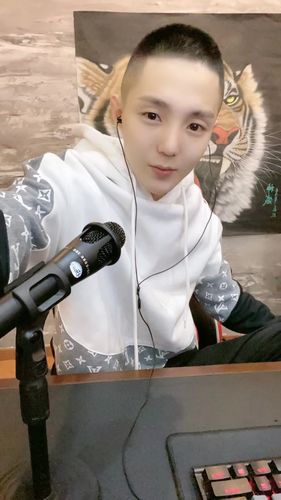 快手高迪用的什么声卡