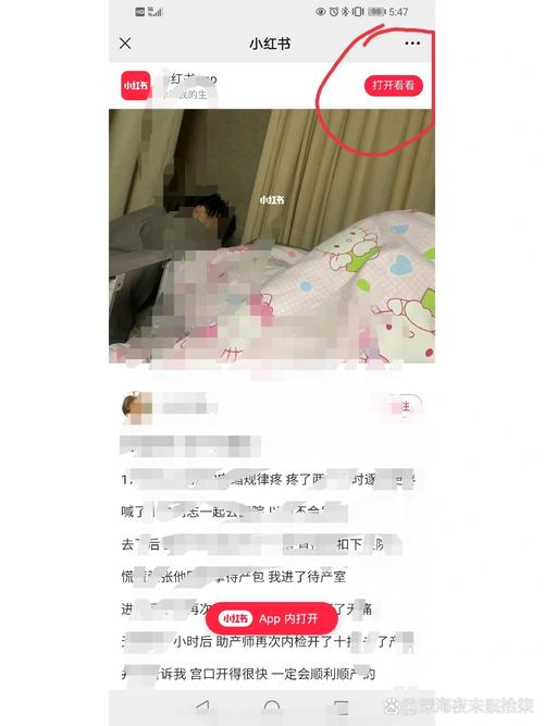 为什么小红书每次打开都要重新登录？是账号设置有问题还是手机缓存导致的？