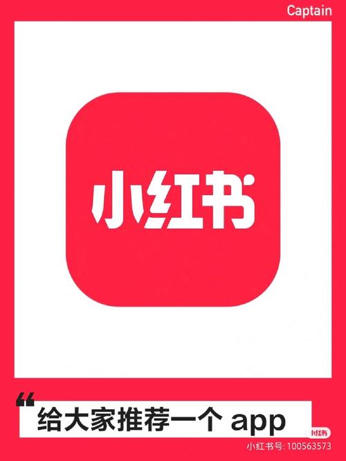 小红书app什么意思