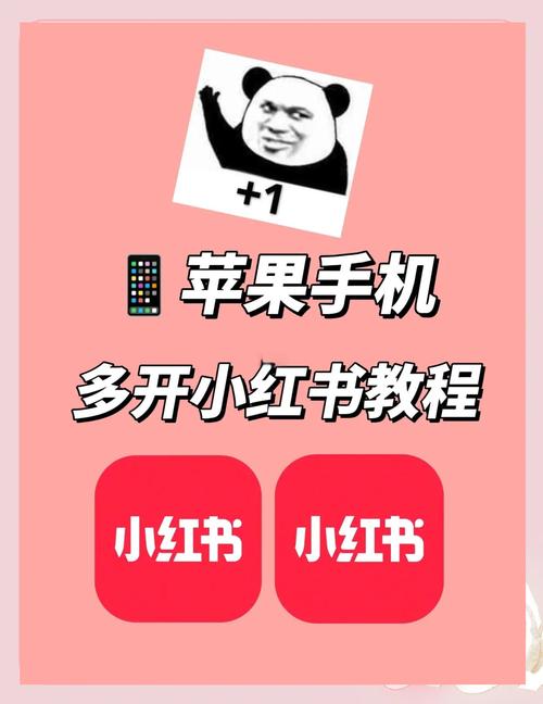 小红书APP登录时遇到账号异常无法登录怎么办？有没有多种登录方式可选？