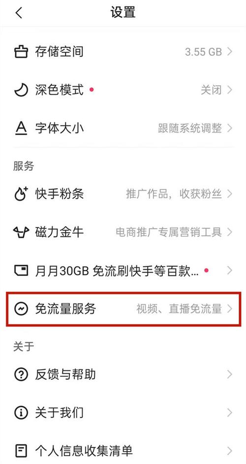 快手找不到免流量服务