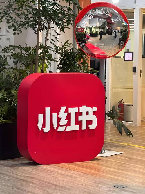 小红书2.16b下载