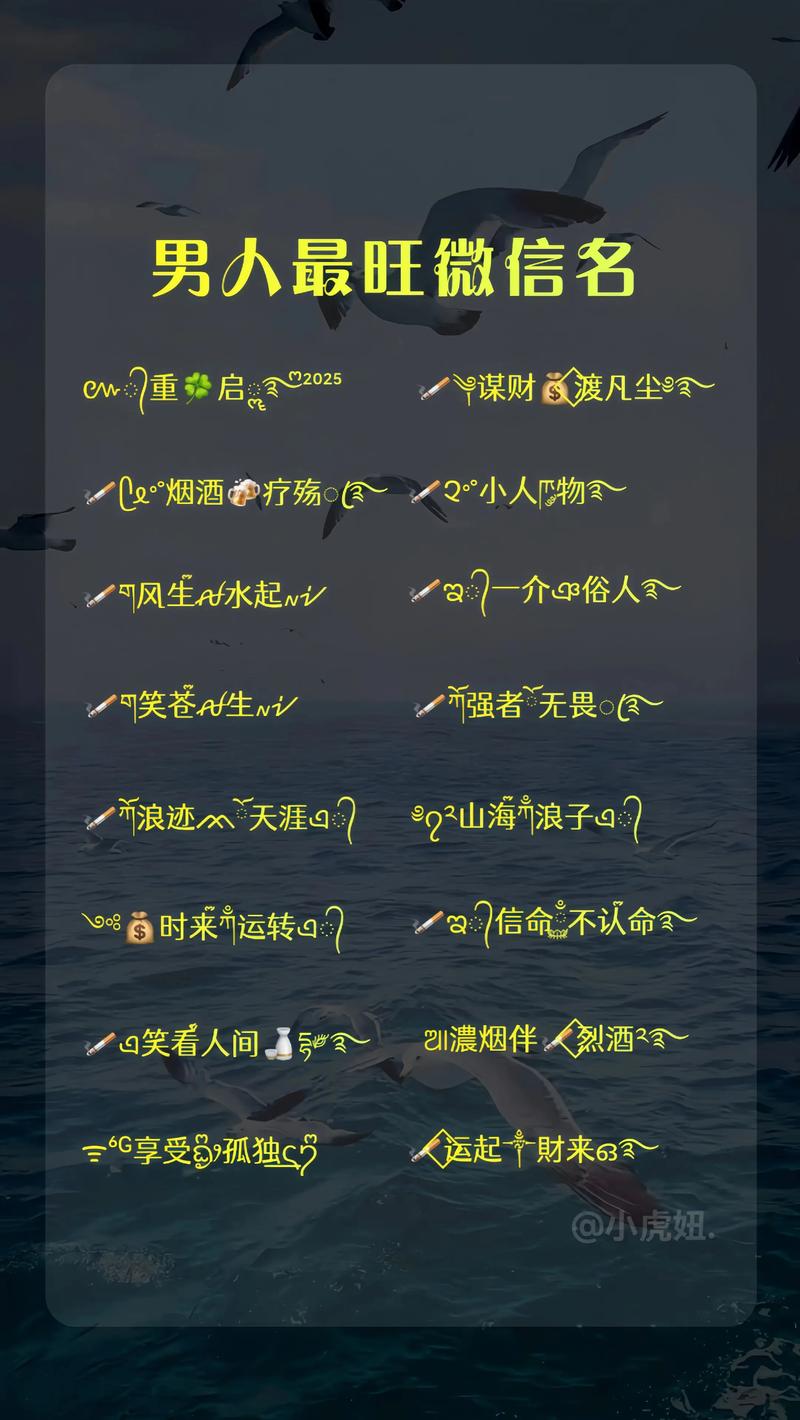 2025男生快手网名