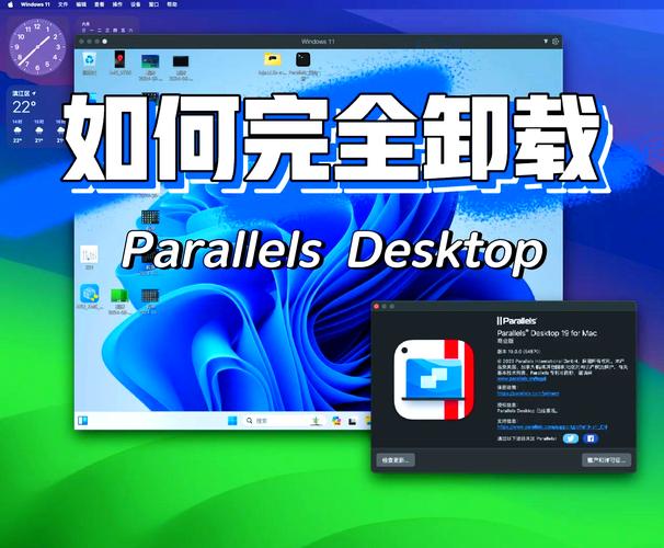 desktop抖音是什么?它和手机版抖音有何不同?为什么要在电脑上使用抖音?