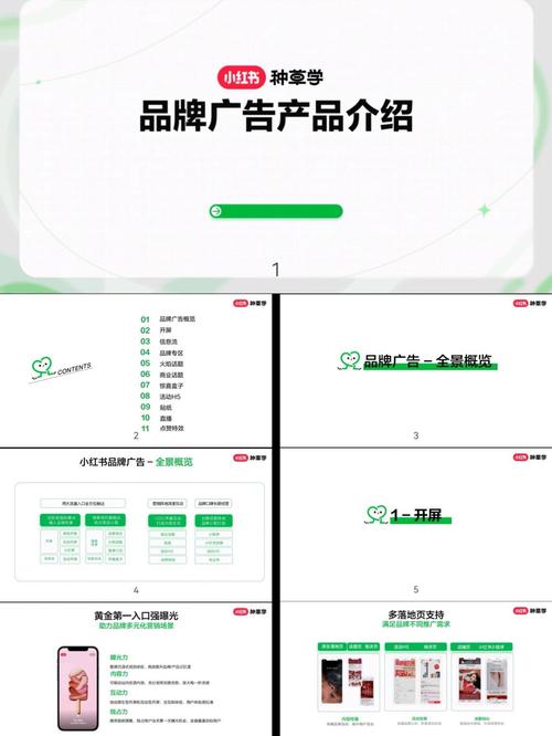 小红书APP是如何从社区平台蜕变为生活方式指南的?其核心吸引力究竟藏在哪里?