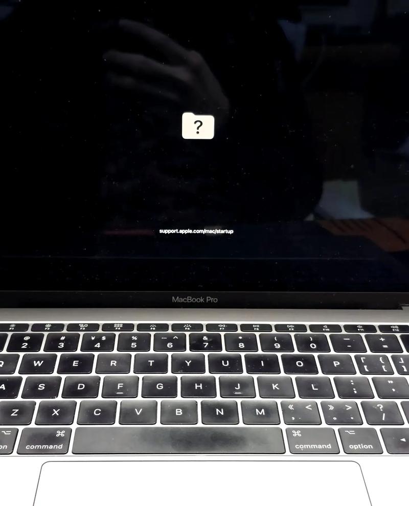 为什么苹果电脑无法正常下载和使用小红书应用?