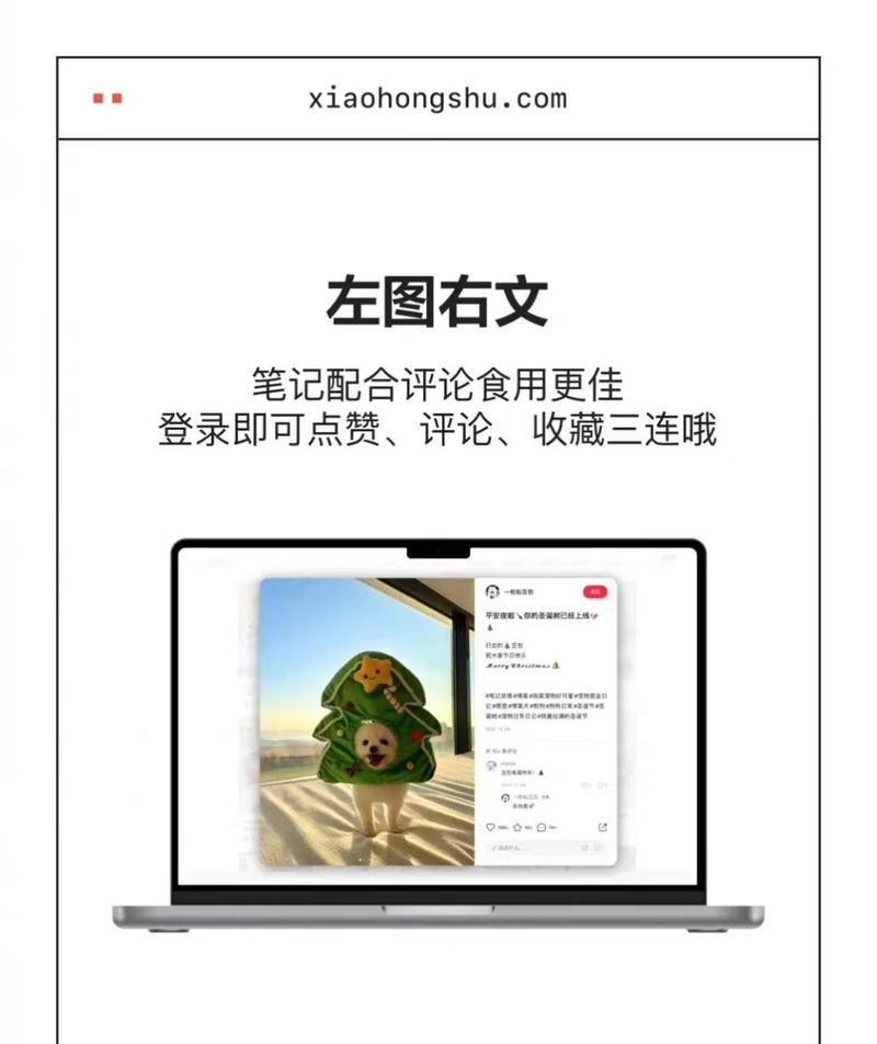 小红书官方网站网页版与APP功能差异有哪些？登录流程和移动端体验是否一致？