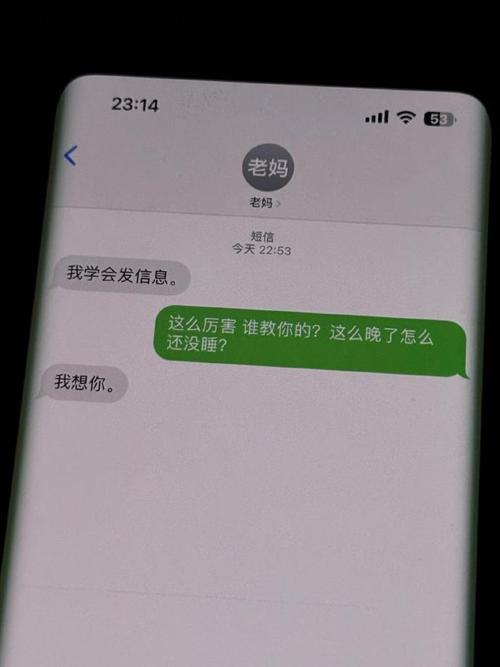 小红书为何频繁发送营销短信?如何关闭短信通知并保护个人信息?