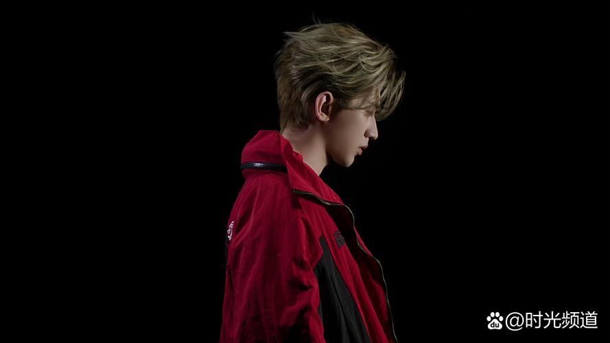 小红书电脑版为何频繁推送蔡徐坤内容？用户能否自定义屏蔽此类推荐？