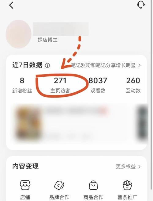 在小红书笔记后台能具体看到哪些访客信息?访客列表会显示真实昵称还是仅显示匿名数据?