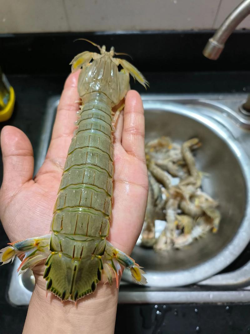 皮皮虾与抖音的核心差异究竟在哪里?它们分别抓住了用户怎样的心理需求?