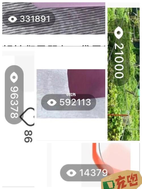 小红书如何查看完整图片？找不到全图查看入口怎么办？
