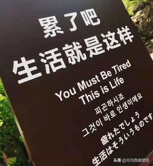 抖音视频完整转发到朋友圈会压缩画质吗?有没有方法能保持原画质分享?