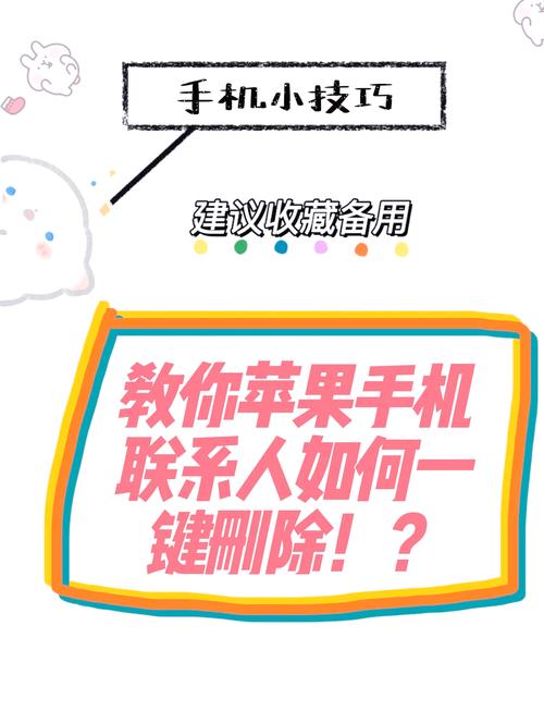 小红书怎么把通讯录导入?手机通讯录好友如何一键添加到小红书?