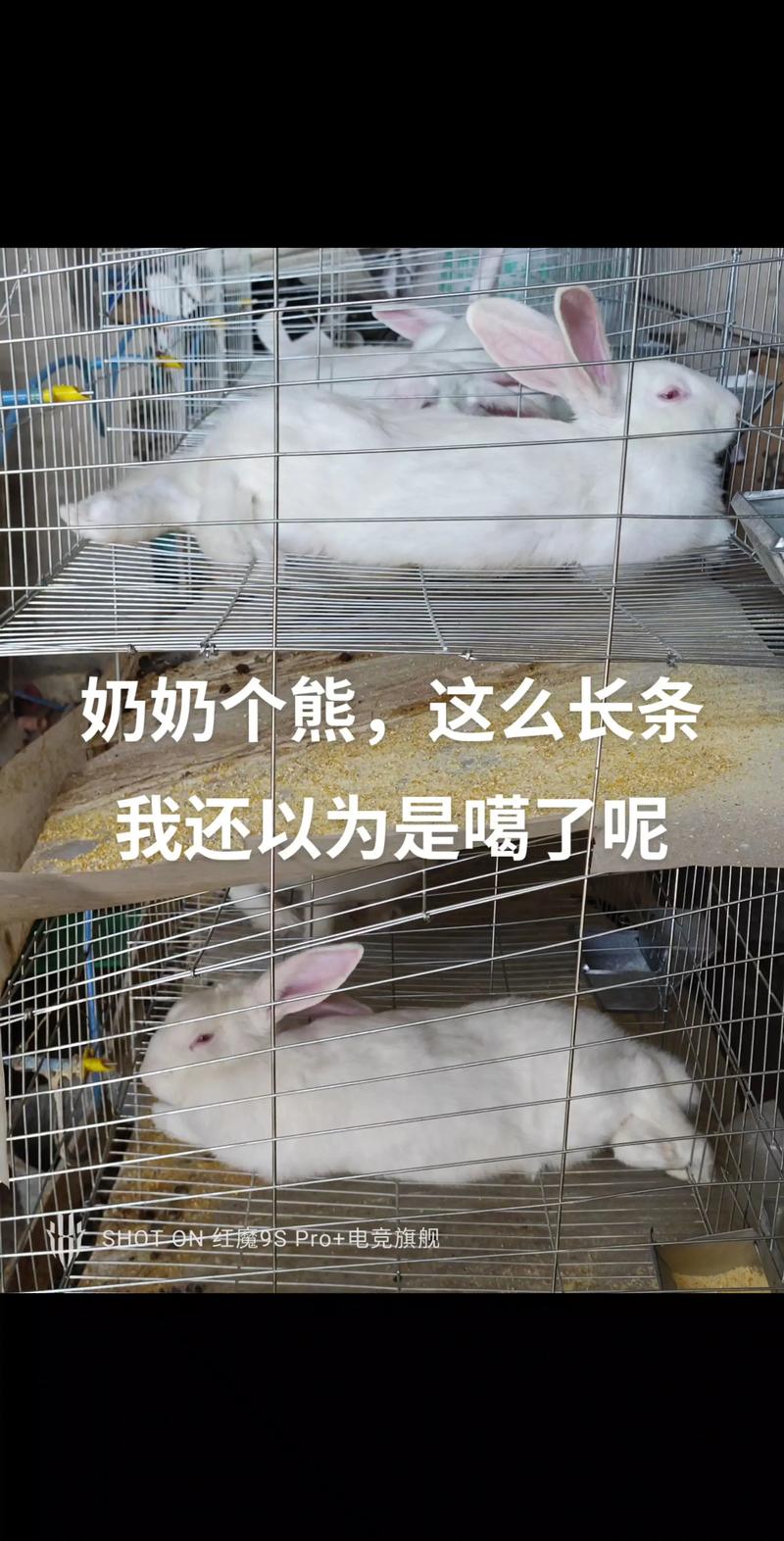 你怎么这么能睡抖音