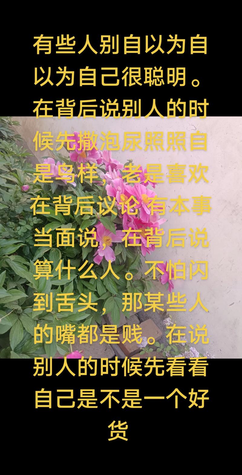 中国史上最贱的人快手这一表述是否存在对历史人物的片面评价与娱乐化曲解？我们该如何理性看待历史人物的多面性，避免用极端标签简化复杂历史？