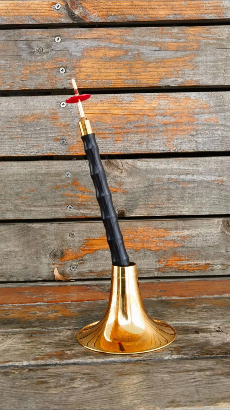 为什么最近唢呐在抖音突然爆火？是传统乐器的逆袭还是流量密码的新玩法？