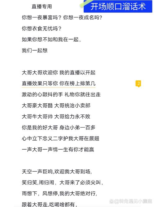 快手喊麦字幕制作有哪些实用技巧？新手如何快速上手添加动态字幕？