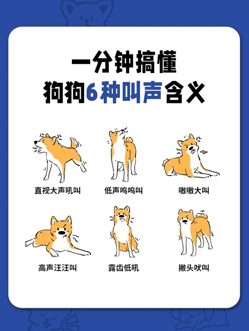 抖音上狗惨叫的配乐