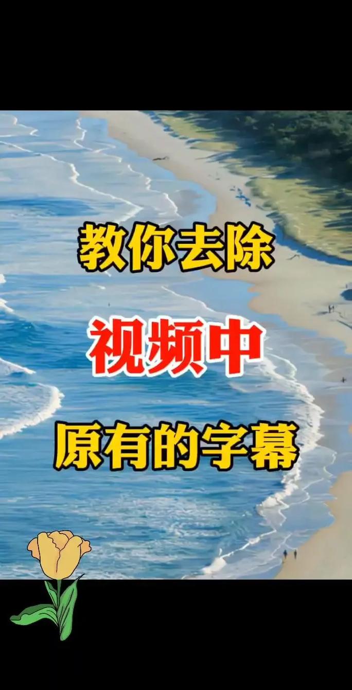 抖音看视频怎么去字