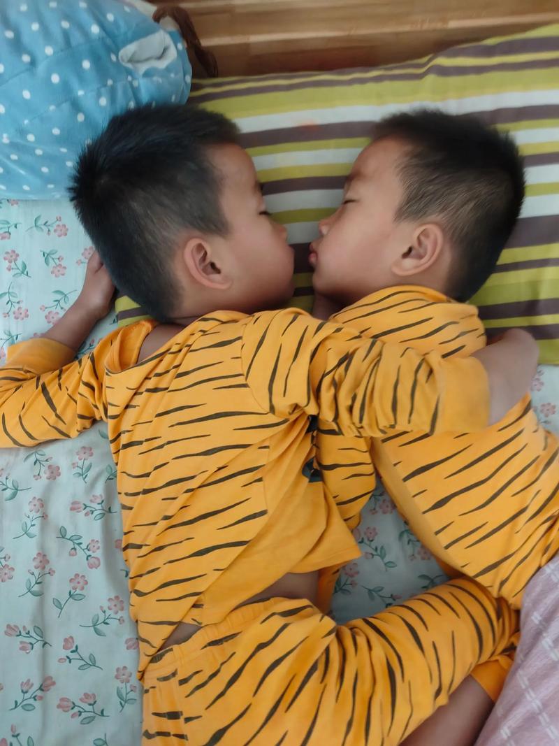 快手双胞胎兄弟的快手号是什么？他们的账号内容有何独特之处，为何能吸引众多粉丝关注？