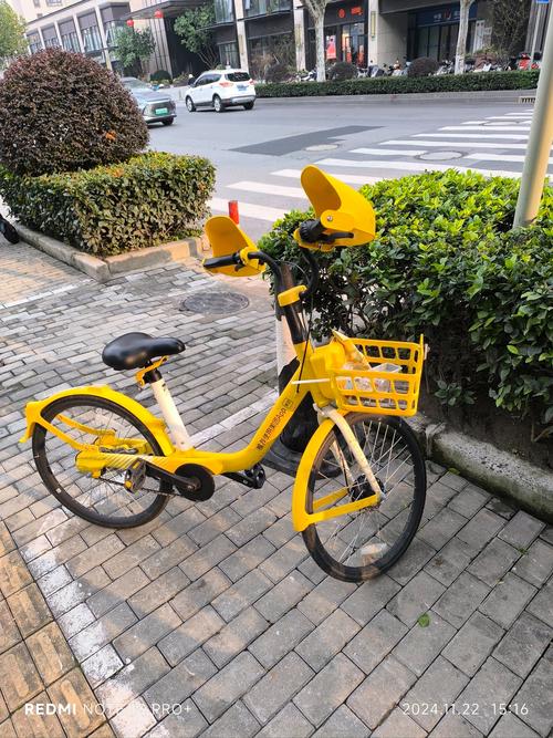 小黄车小红书是什么？它们如何连接电商与内容生态，又为何成为年轻人购物的新宠？