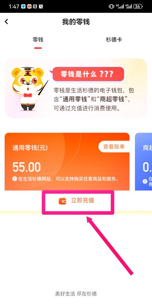 小红书支付方式有哪些？平台支持微信/支付宝吗？境外用户怎么付款？安全吗？