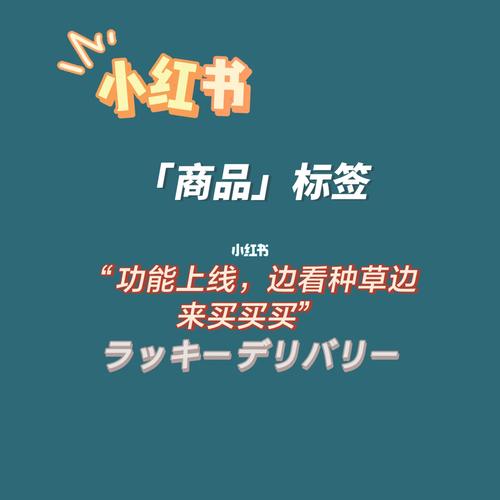 小红书图片上的标签到底是如何影响内容曝光和用户搜索的？背后有哪些算法逻辑在起作用？