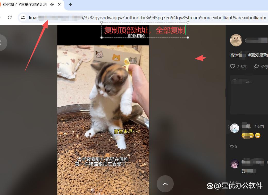 电脑快手下载视频的方法有哪些？不同设备操作步骤有何区别？下载时需要注意哪些版权风险？