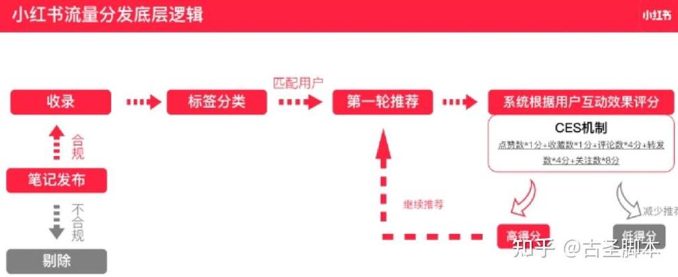 小红书和洋码头流量差异背后，是用户偏好驱动还是平台策略主导？
