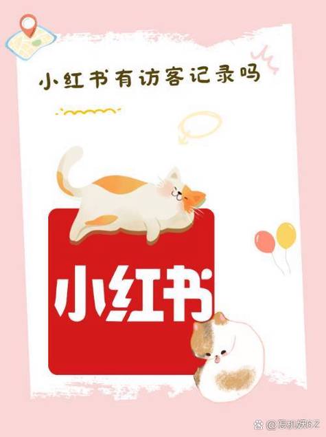 小红书到底能不能看访客记录？官方功能与第三方工具哪个更靠谱？