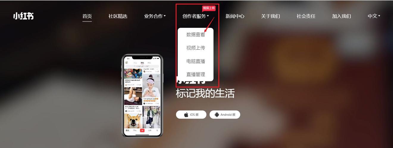 小红书电脑端无法登录？官方未开放PC登录渠道，用户该如何通过电脑访问小红书？