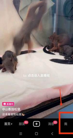 抖音怎么看历史记录？找不到历史记录入口怎么办？如何恢复误删的观看历史？