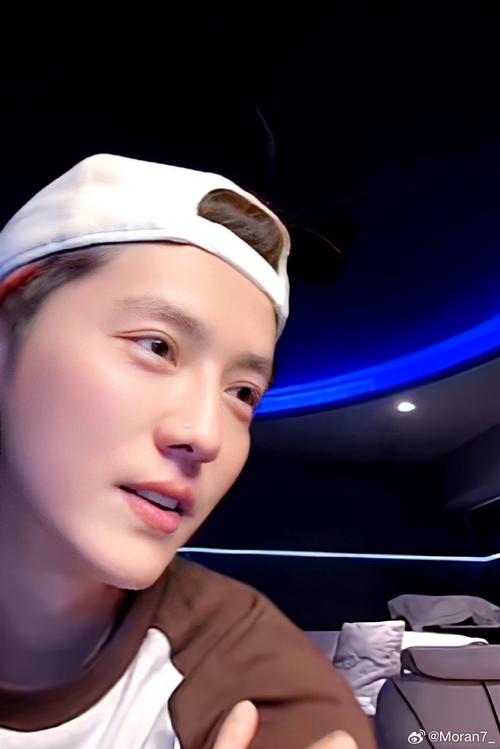 抖音鹿晗特效怎么弄？新手也能快速学会的详细步骤是什么？需要用到哪些工具或软件？