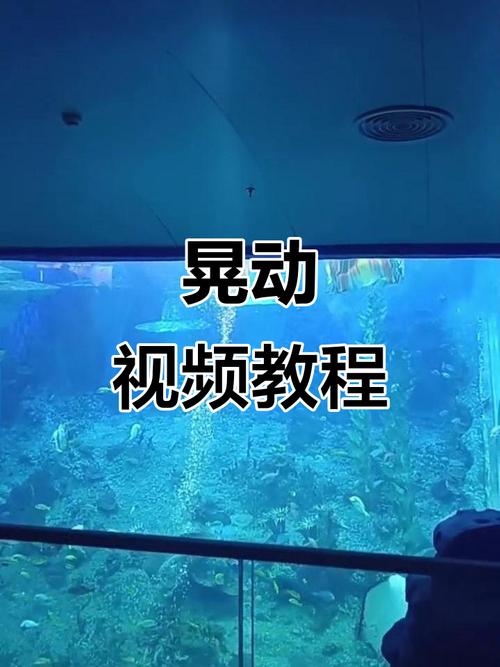 抖音短视频画面晃动怎么办？如何稳定拍摄避免模糊抖动？