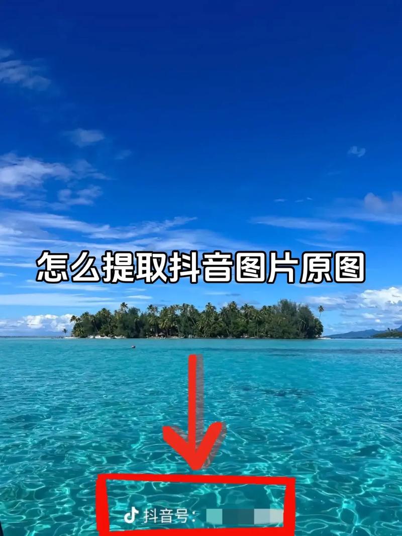 抖音支持导入照片吗？如何将本地照片上传到抖音创作内容？