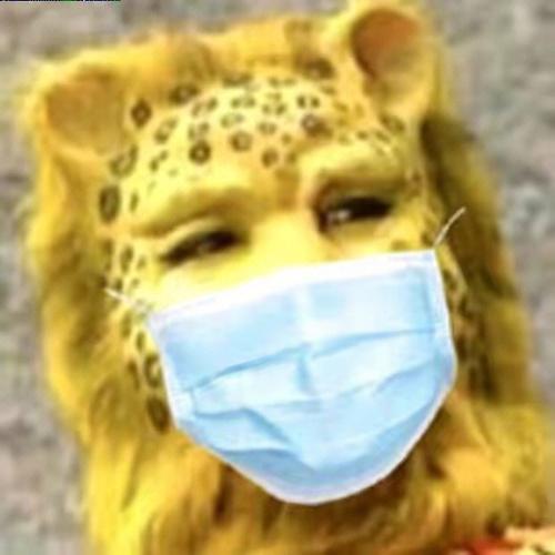 快手的金钱豹是什么人