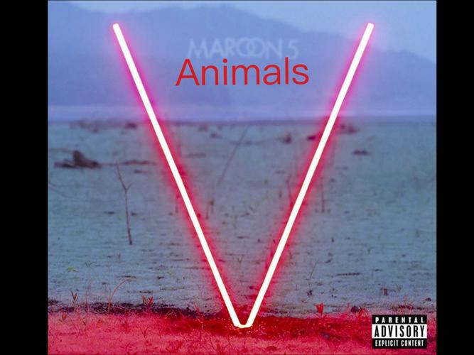 抖音animals热潮背后，是萌宠治愈还是流量焦虑？动物内容如何持续打动人心？