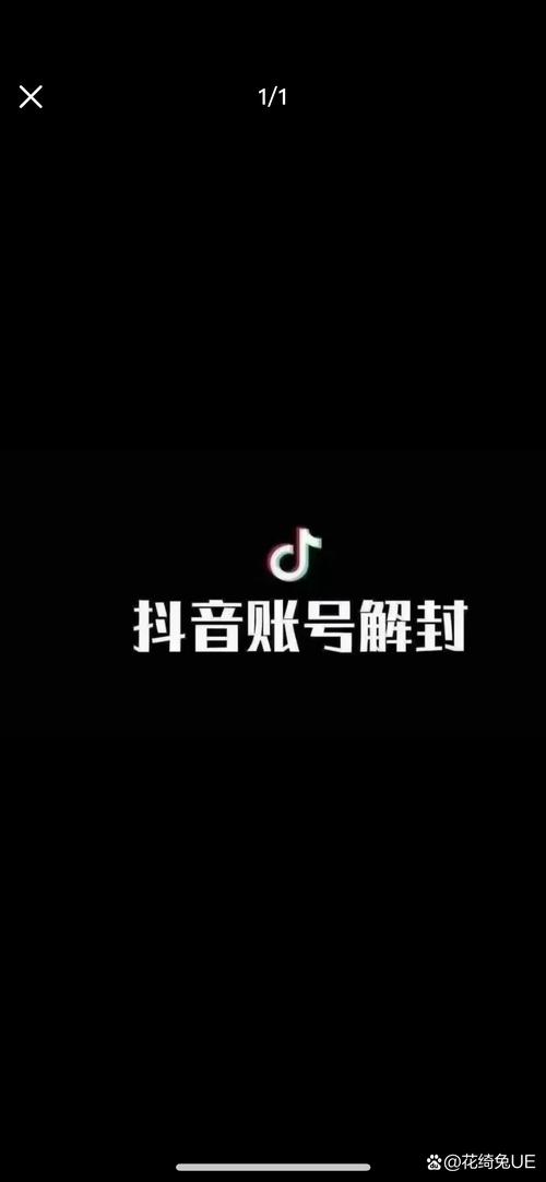抖音账号重置后,数据清零、权限恢复,用户该如何重建账号权重与内容生态?