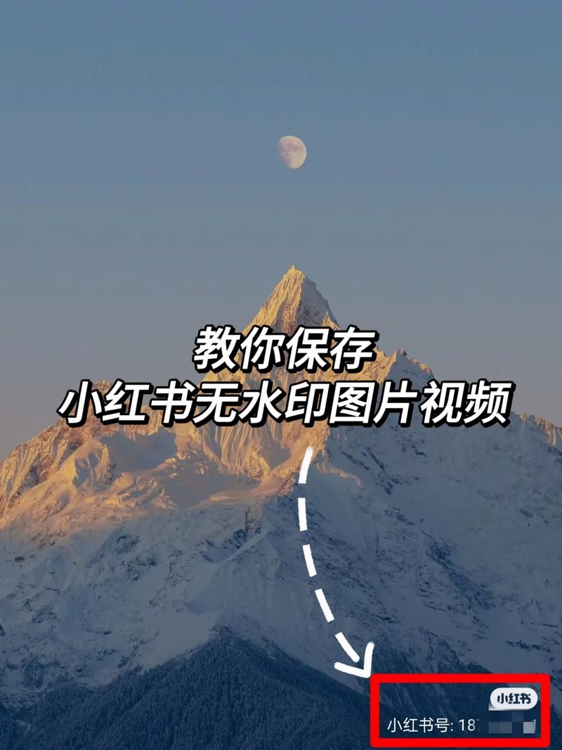 小红书图片保存功能全解析，哪些能存、哪些不能存？官方方法与第三方工具避坑指南