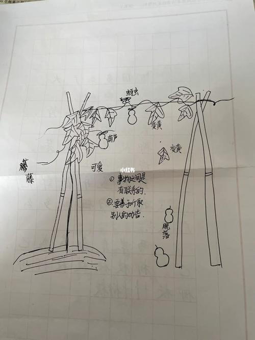 小红书草稿箱不见了?3步教你找回未发布笔记草稿,附常见问题解决方法!