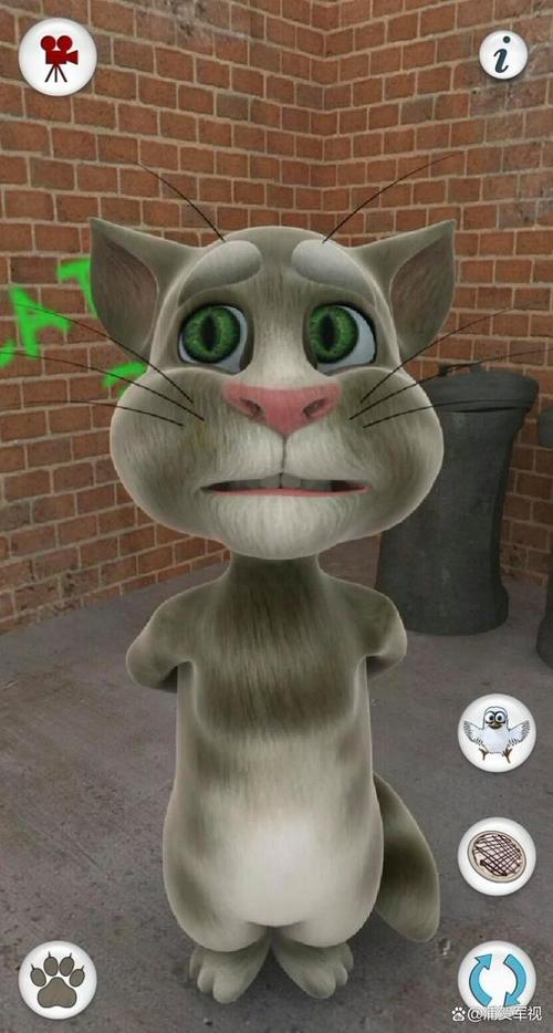 快手上会说话的汤姆猫