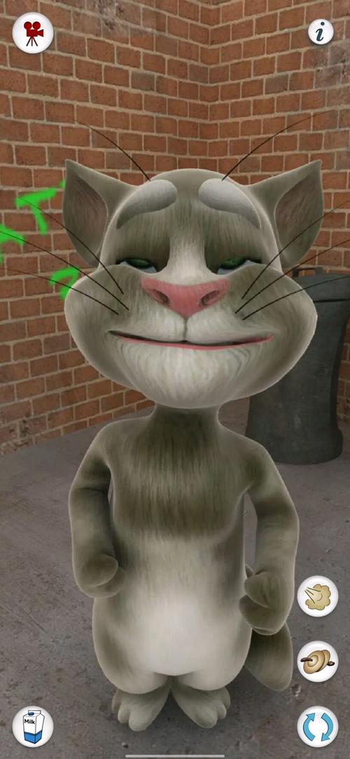 快手上会说话的汤姆猫