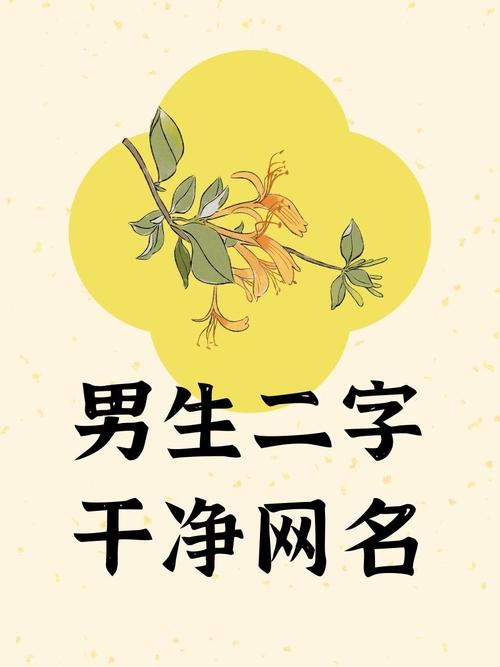 快手男用户起名攻略,两个字名字有哪些高人气选择与创意技巧?