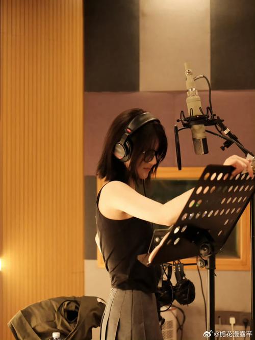 快手怎么一张照片录歌