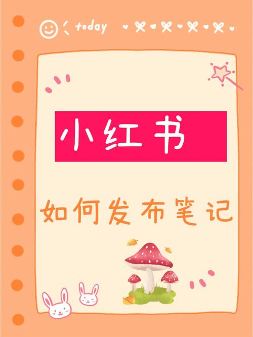 新手如何在小红书高效发笔记？流量密码、爆款技巧与避坑指南全解析！