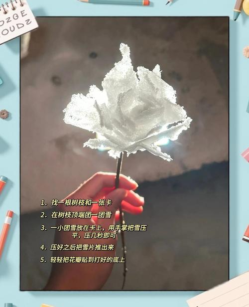 快手玫瑰花视频教程里,新手必学的3个关键步骤和常见避坑指南是什么?